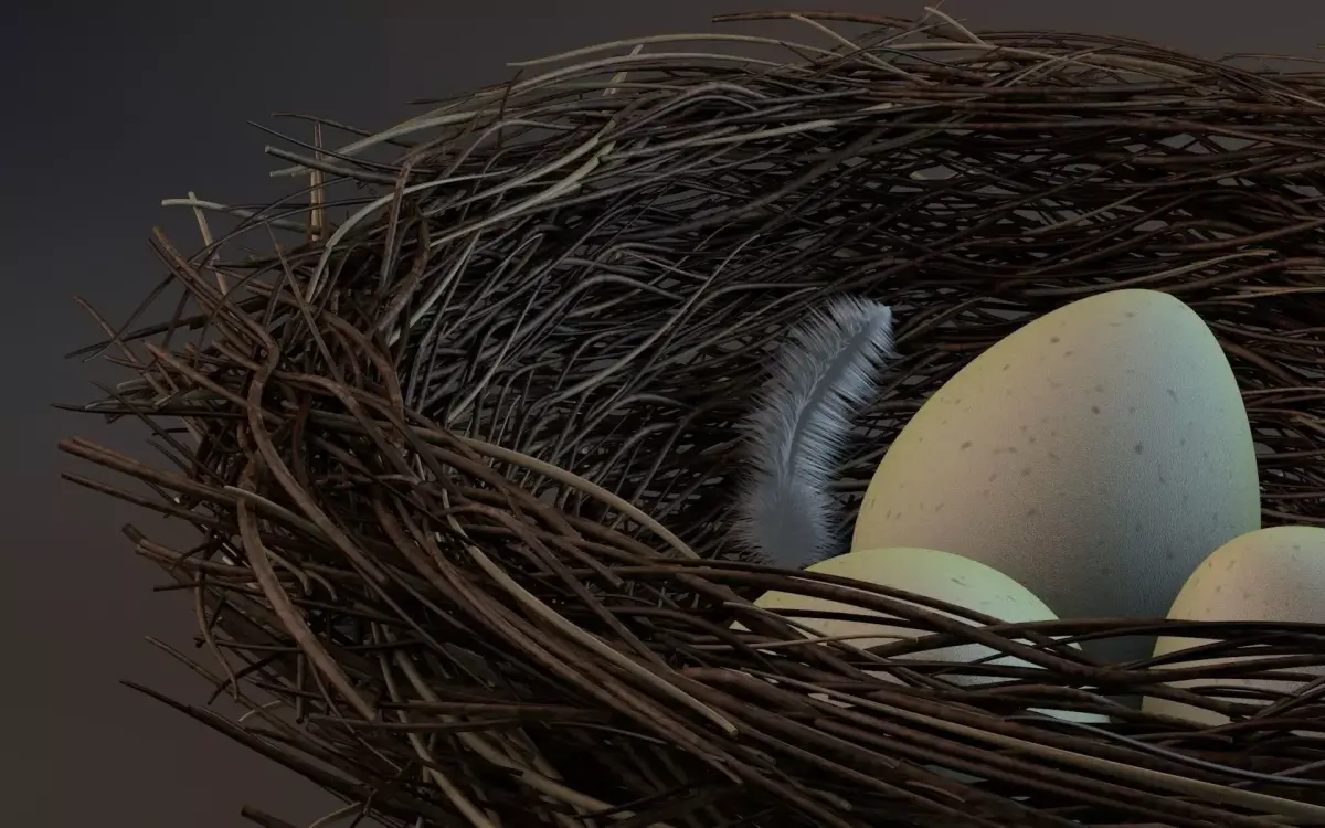 Bird nest 3D model get