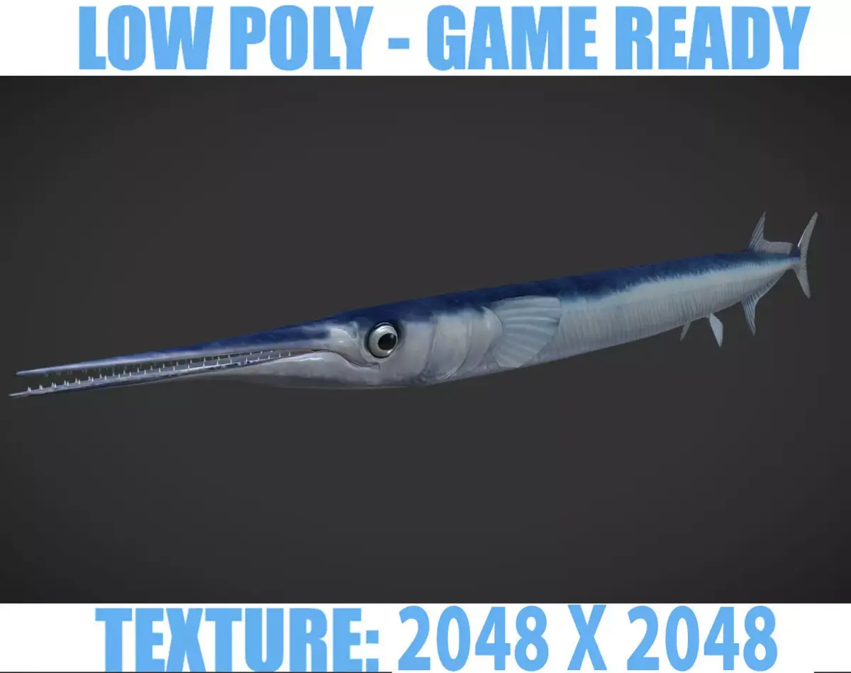 SwordFish fish with long tail Low-poly 3D model