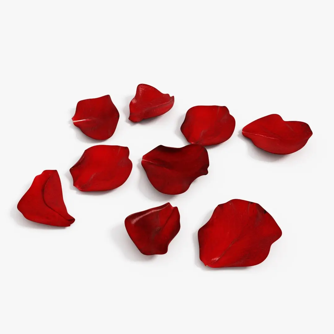 Rose Petals 3D model purchase