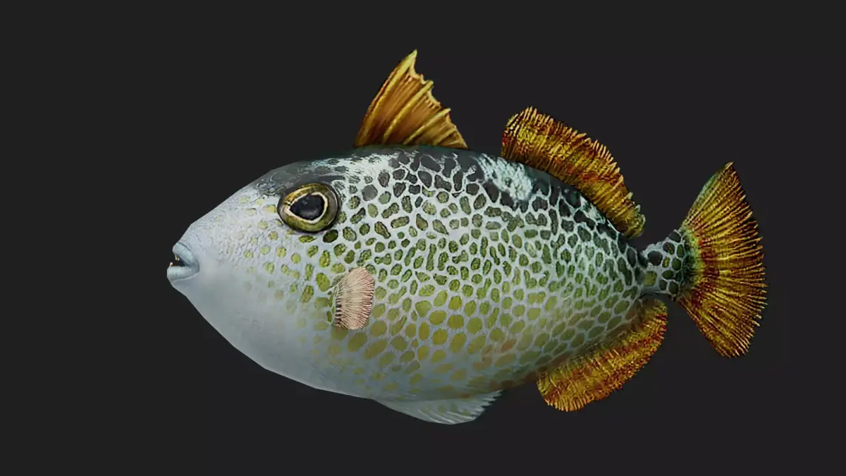 Triggerfish Low-poly 3D model
