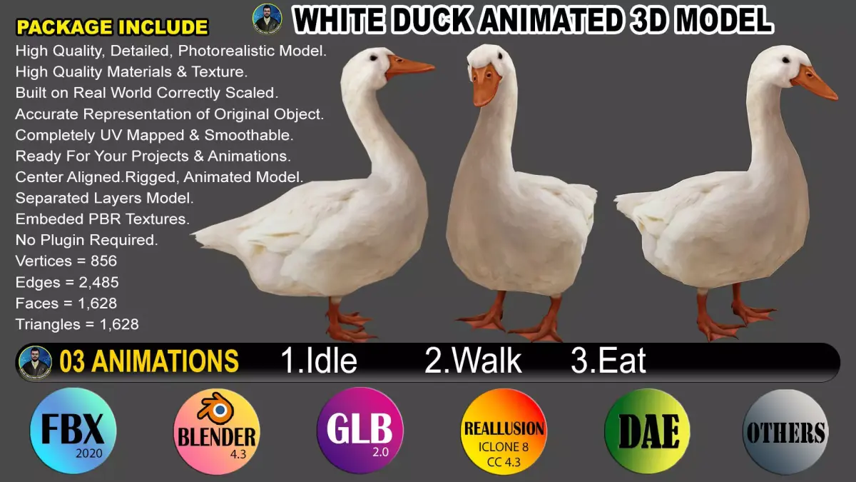 Duck Rigged Animated 3 Low-poly 3D model
