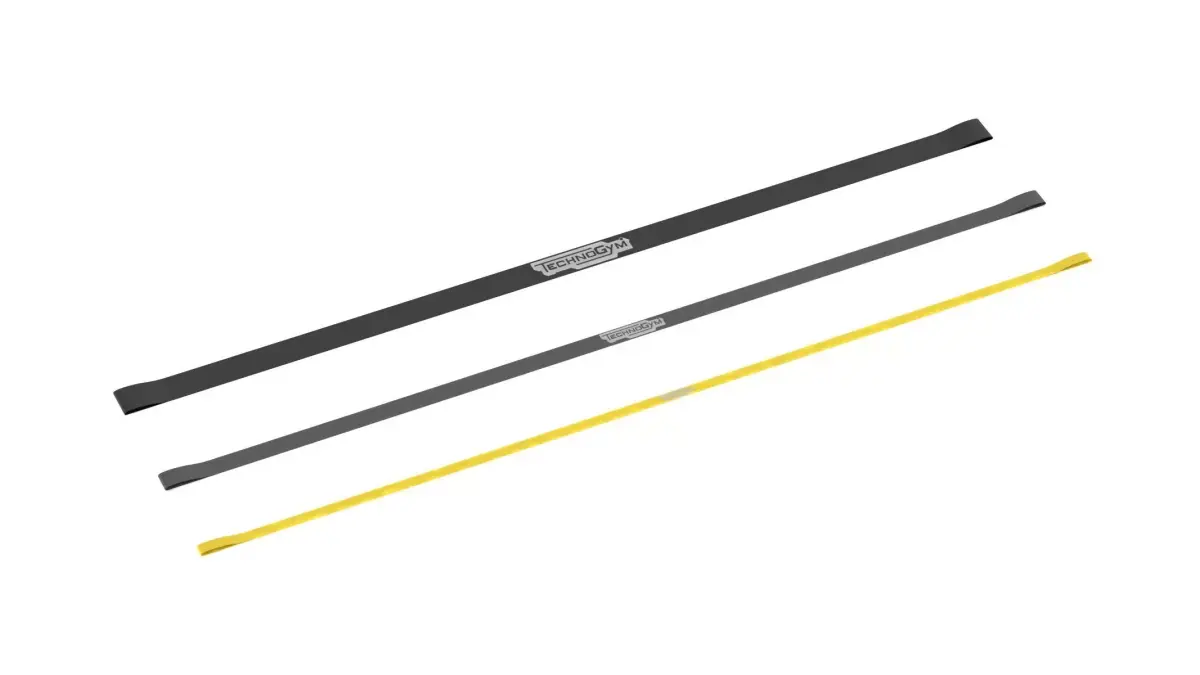 Technogym Band Power 3D model