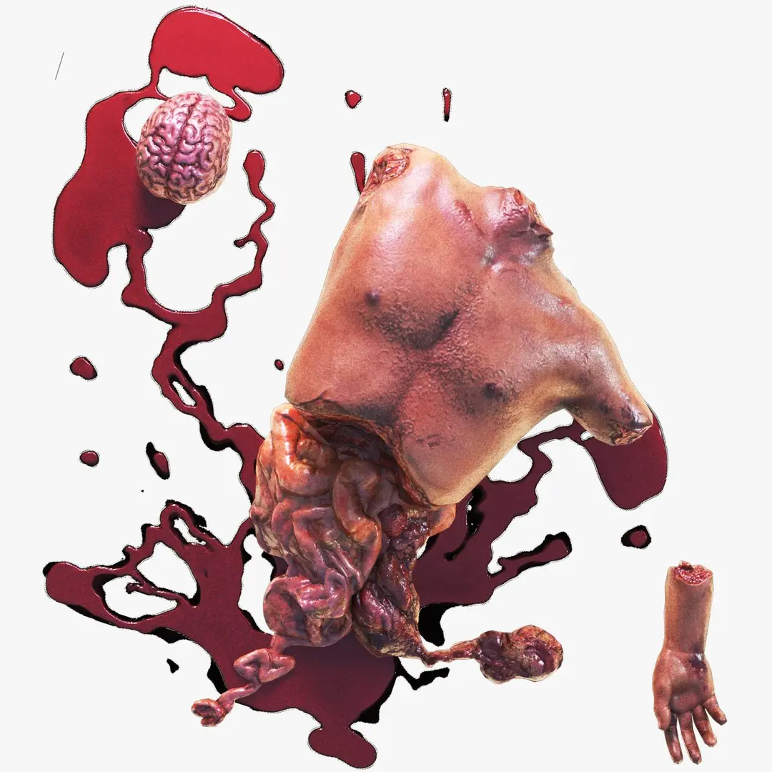 Torn Off Human Body Parts 3D model
