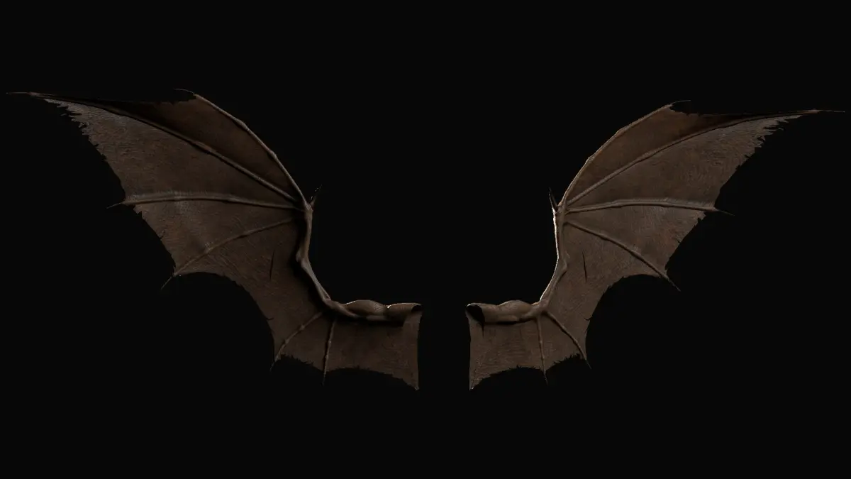 Pair of Bat Wings [C4D] 3D model