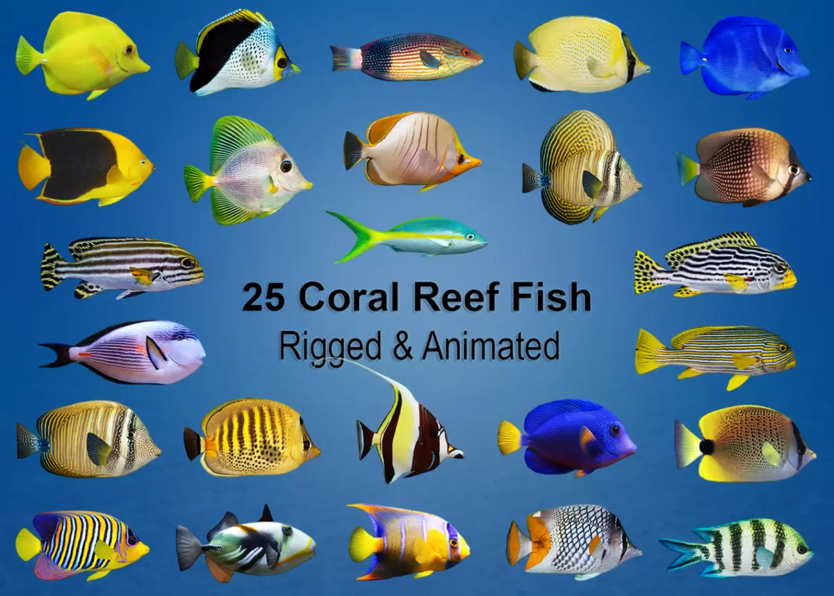 Coral Reef Fish Collection Animated - Game Ready pack 2 Low-poly 3D model