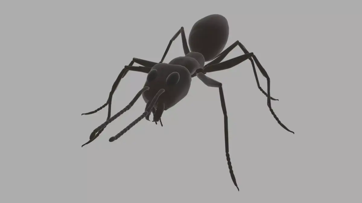 Argentine Ant Rig Simple Free 3D model