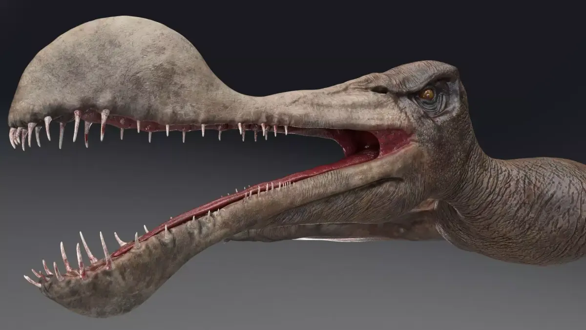 Dinosaur Tropeognathus dinosaur flying Low-poly 3D model