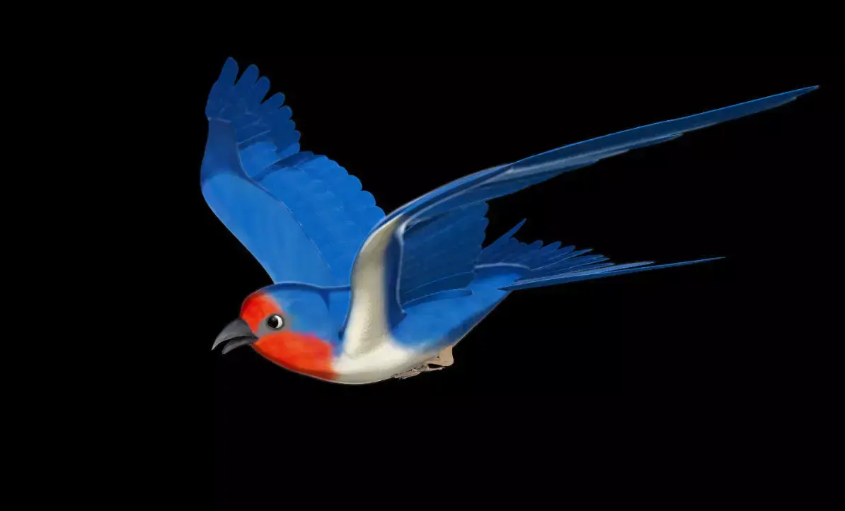 Rigged and animated cartoon swallow  3D model