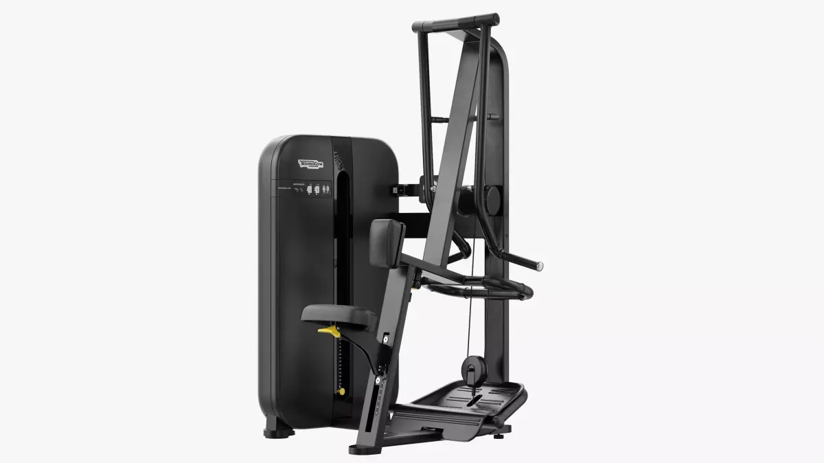 Technogym Artis Rear Delt Row 3D model
