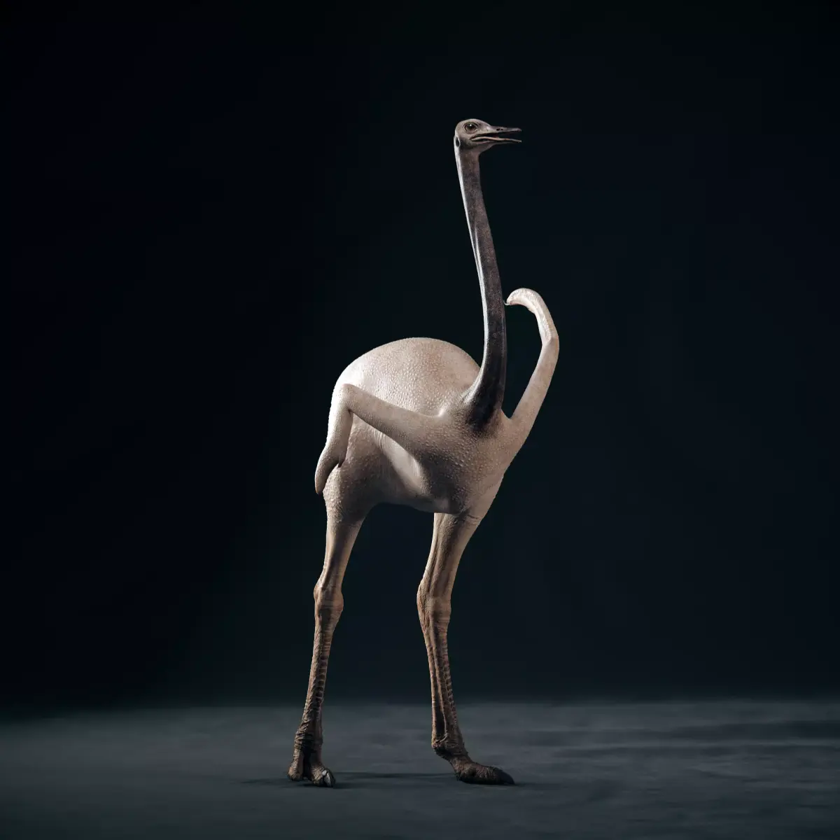 Realistic 3D model of Ostrich with RIG and texture pack 3D model