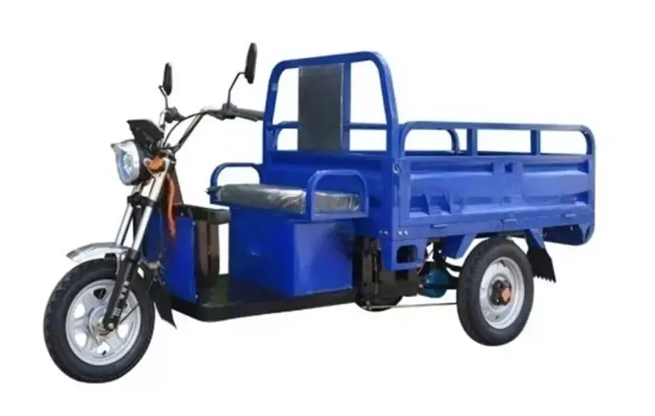 Electric Cargo Tricycle 3D model