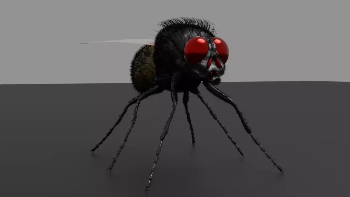 Housefly fly with eyes Low-poly 3D model