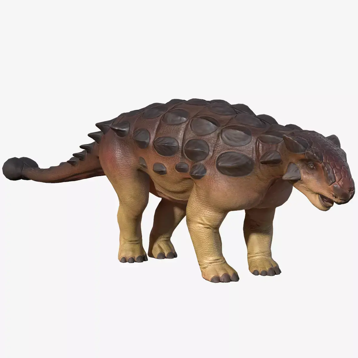 Ankylosaurus dinosaur Low-poly 3D model purchase
