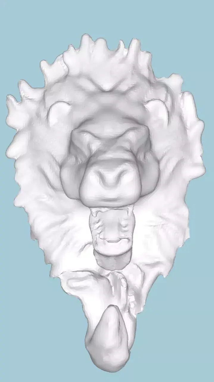 MakeIT Lion Face Hanger 3D Model 3D model