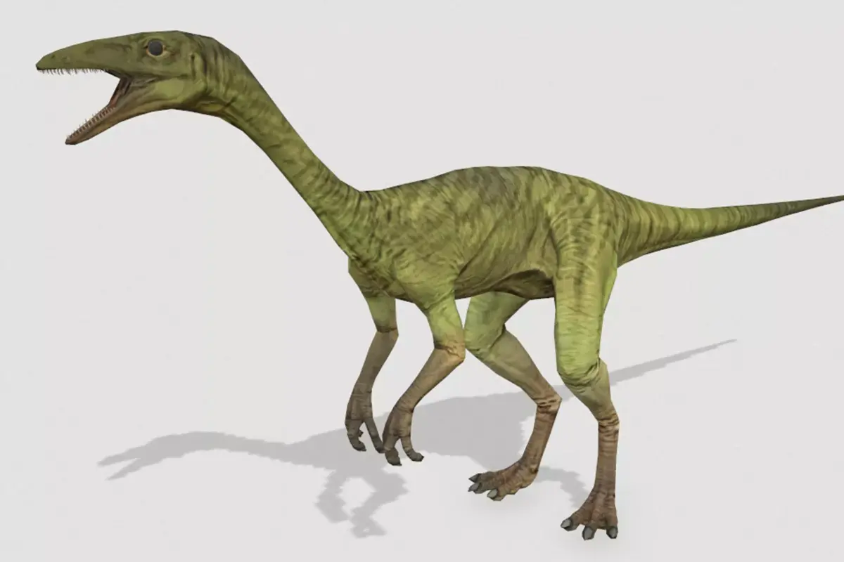 Compy Low-poly 3D model