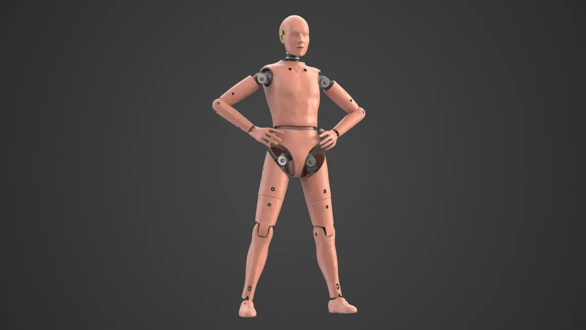 Crash Test Dummy 1 Rigged Biped 3D model