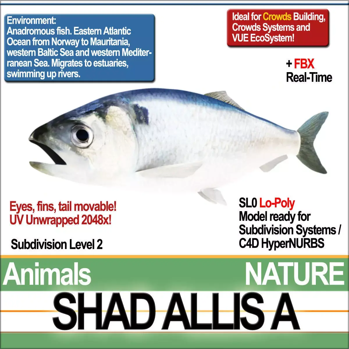 Allis Shad A 3D model