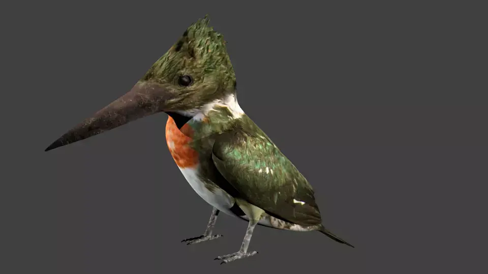 lowpoly bird kingfisher Low-poly 3D model