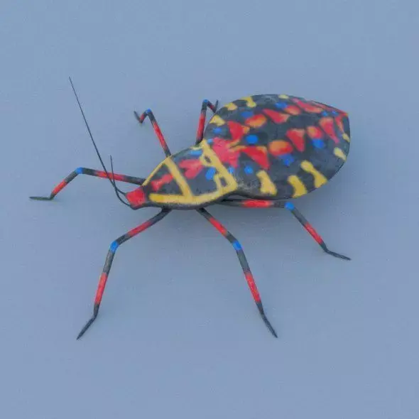 Coreid Bug Nymphs Low-poly 3D model