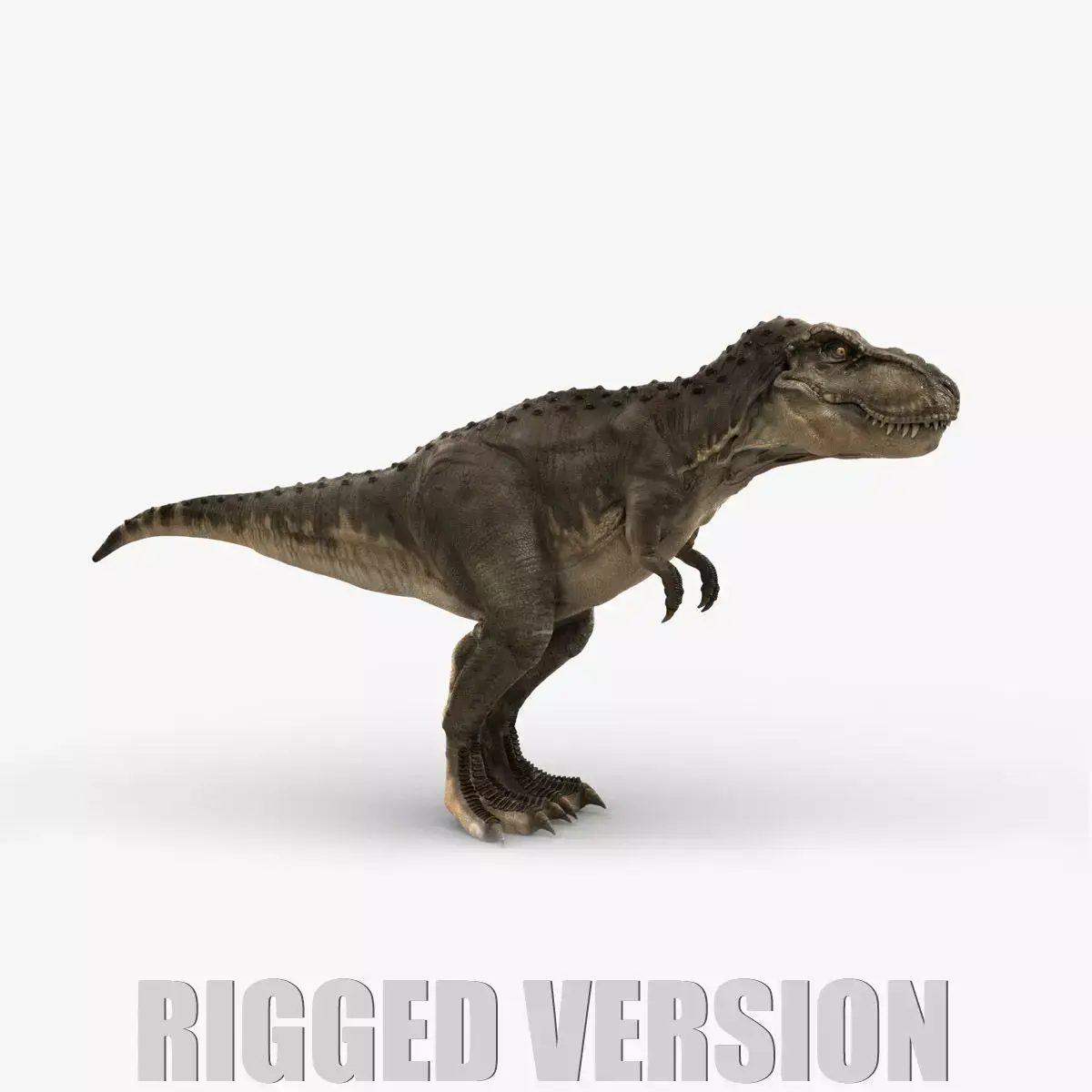 Tyrannosaurus Rex 2 RIGGED 3D model