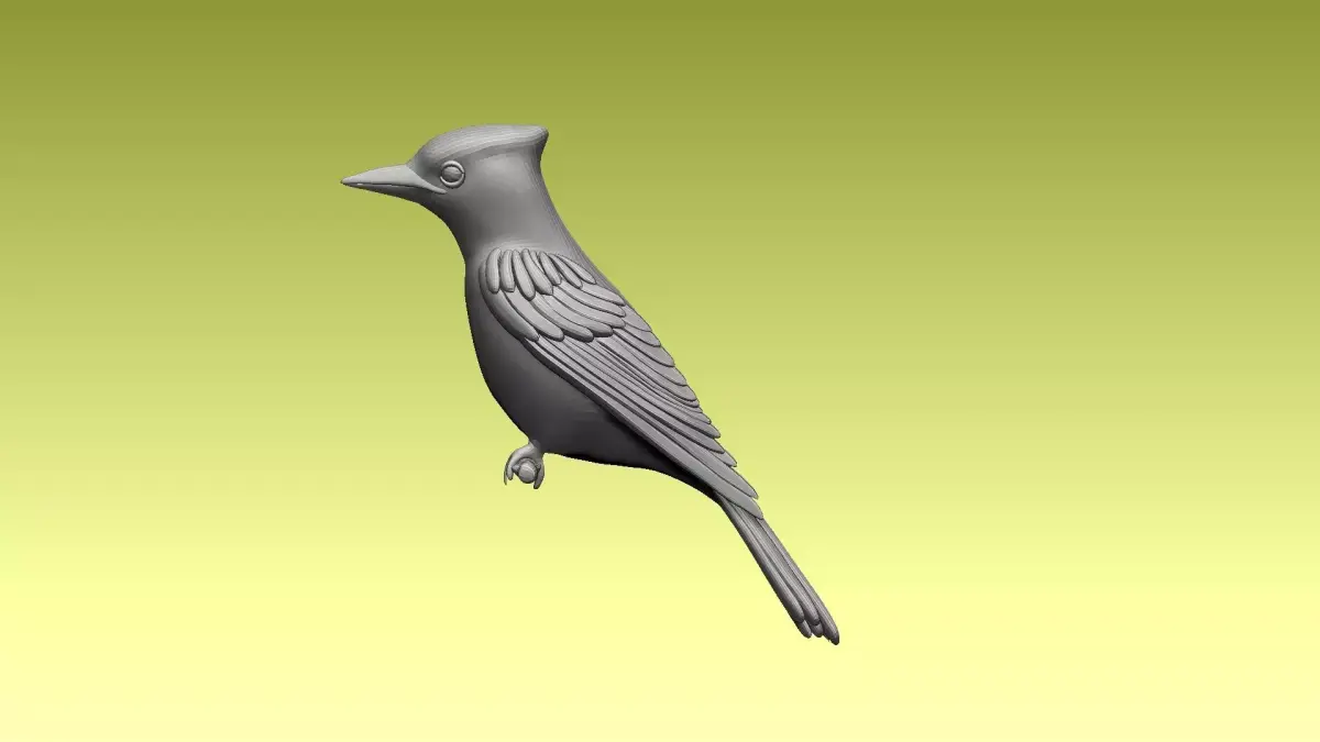 jay bird 3D model