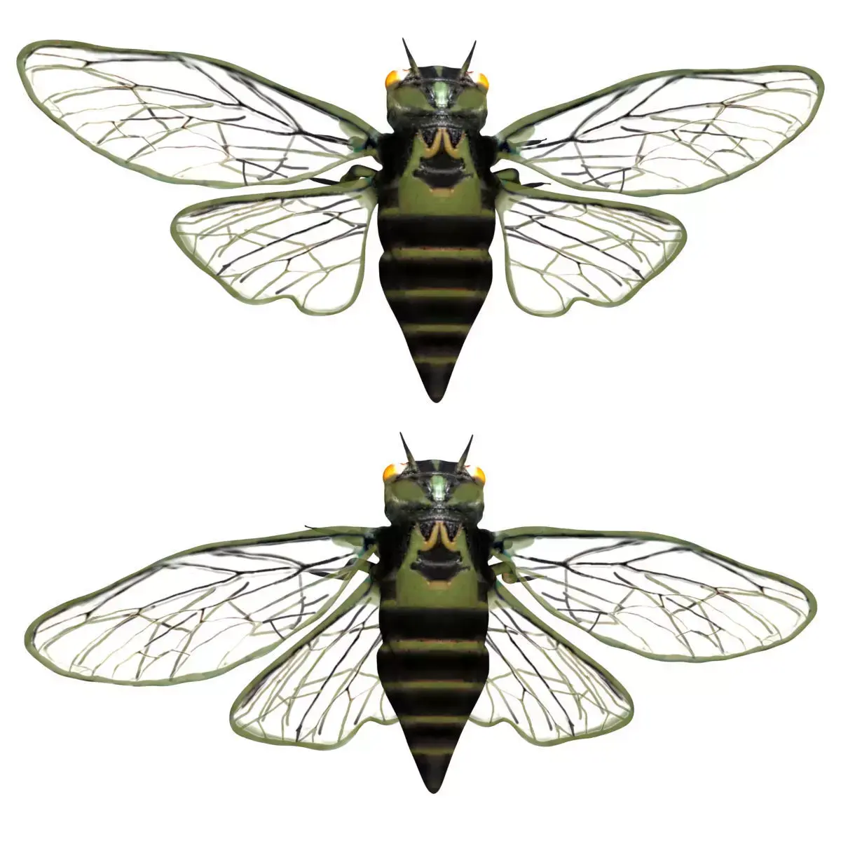 Cicada beetle flying Low-poly 3D model