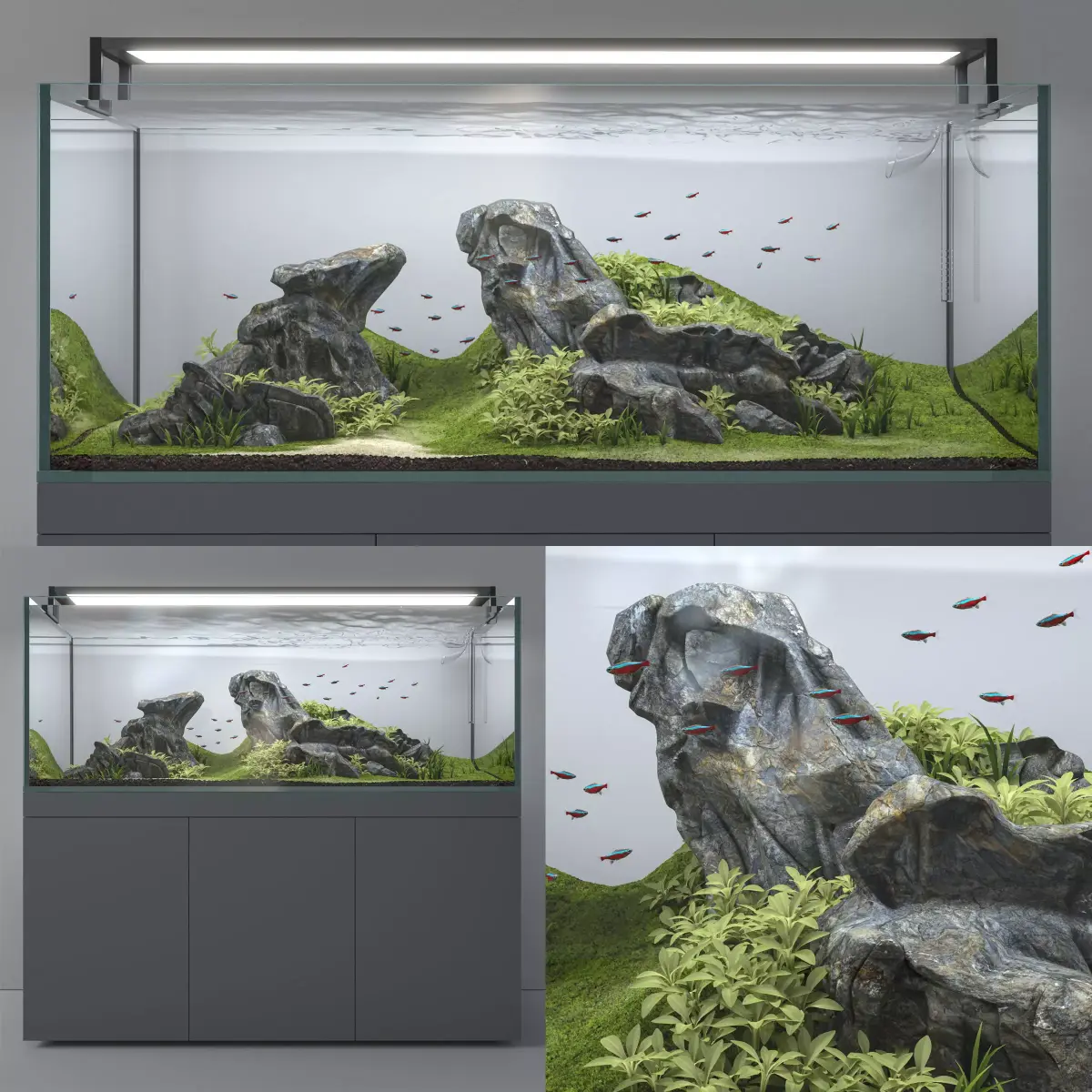 Aquascape aquarium 3D model