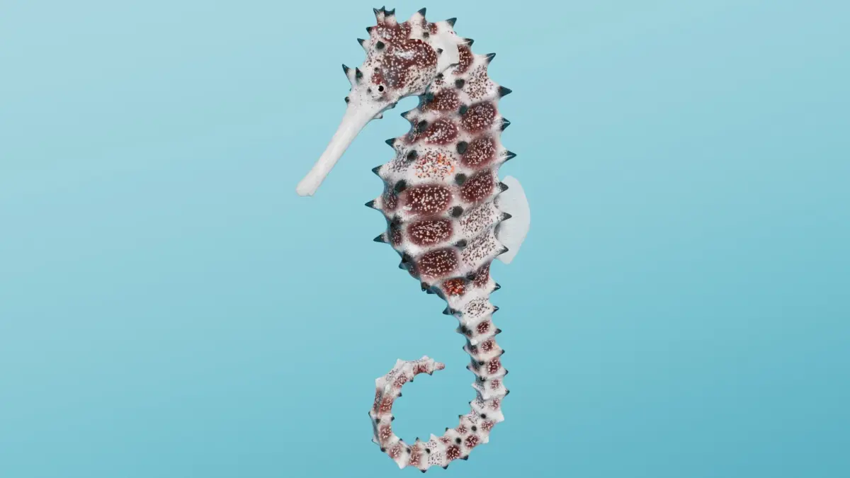 Spiny Seahorse Rigged Animated 3D model