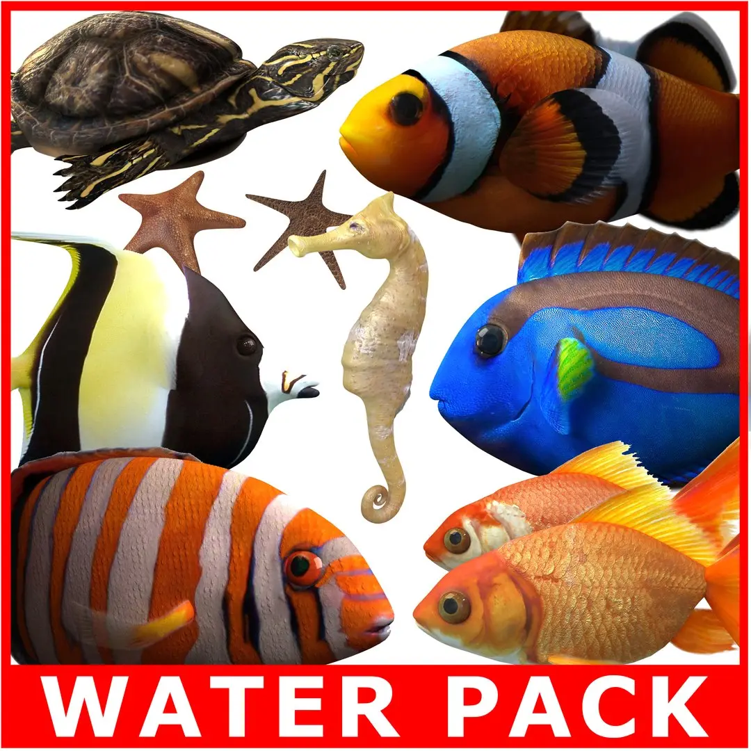 Water Pack (Rigged Models) 3D model