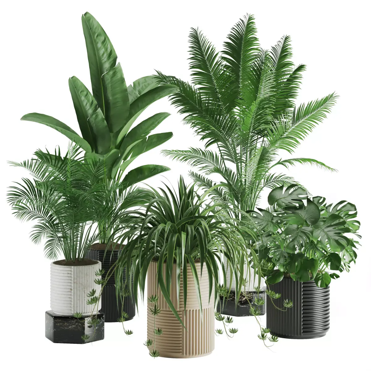 Indoor Plant Set 01 3D model