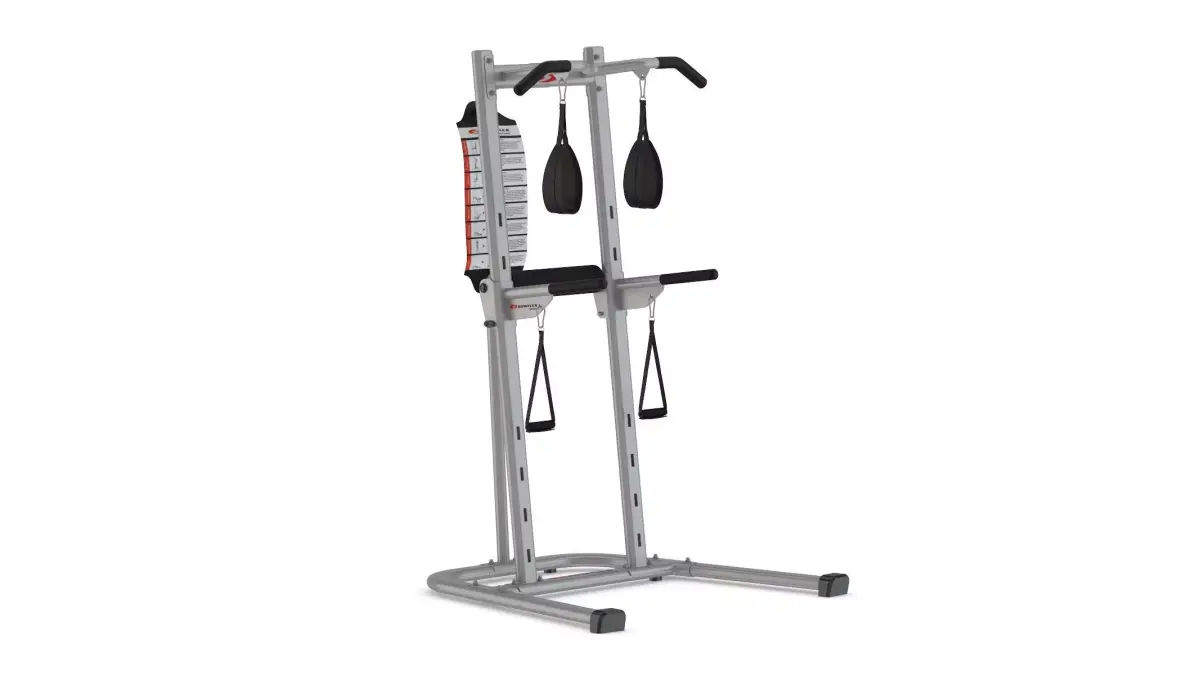 Bowflex BodyTower 3D model