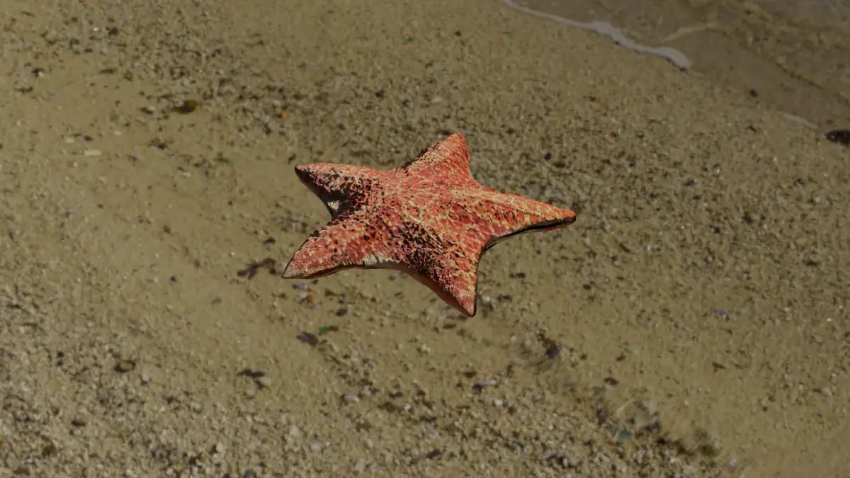Starfish rusty star in sky Low-poly 3D model