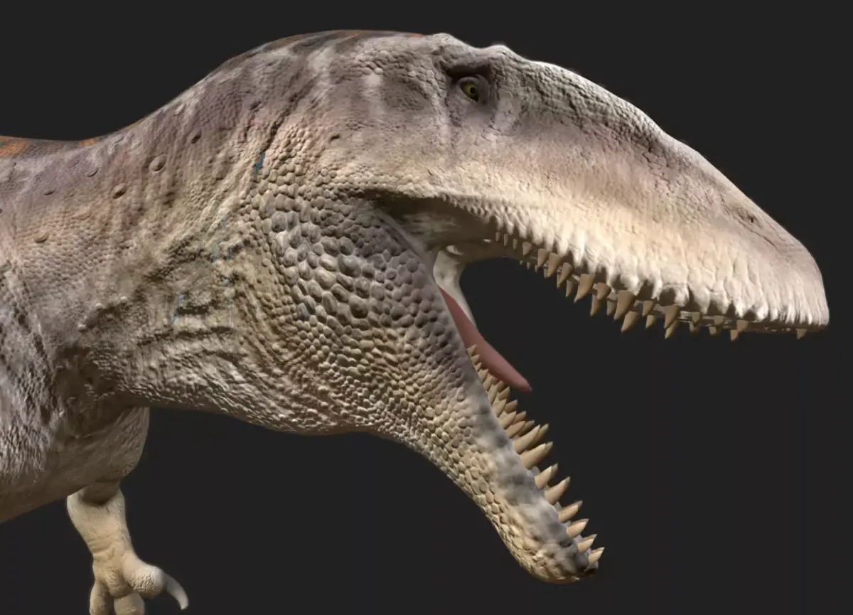 Carcharodontosaurus Low-poly 3D model purchase