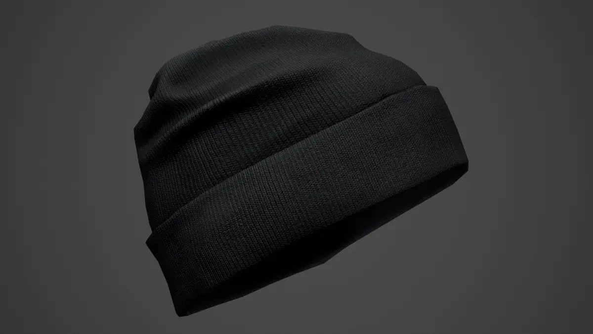 Winter Hat 3D model