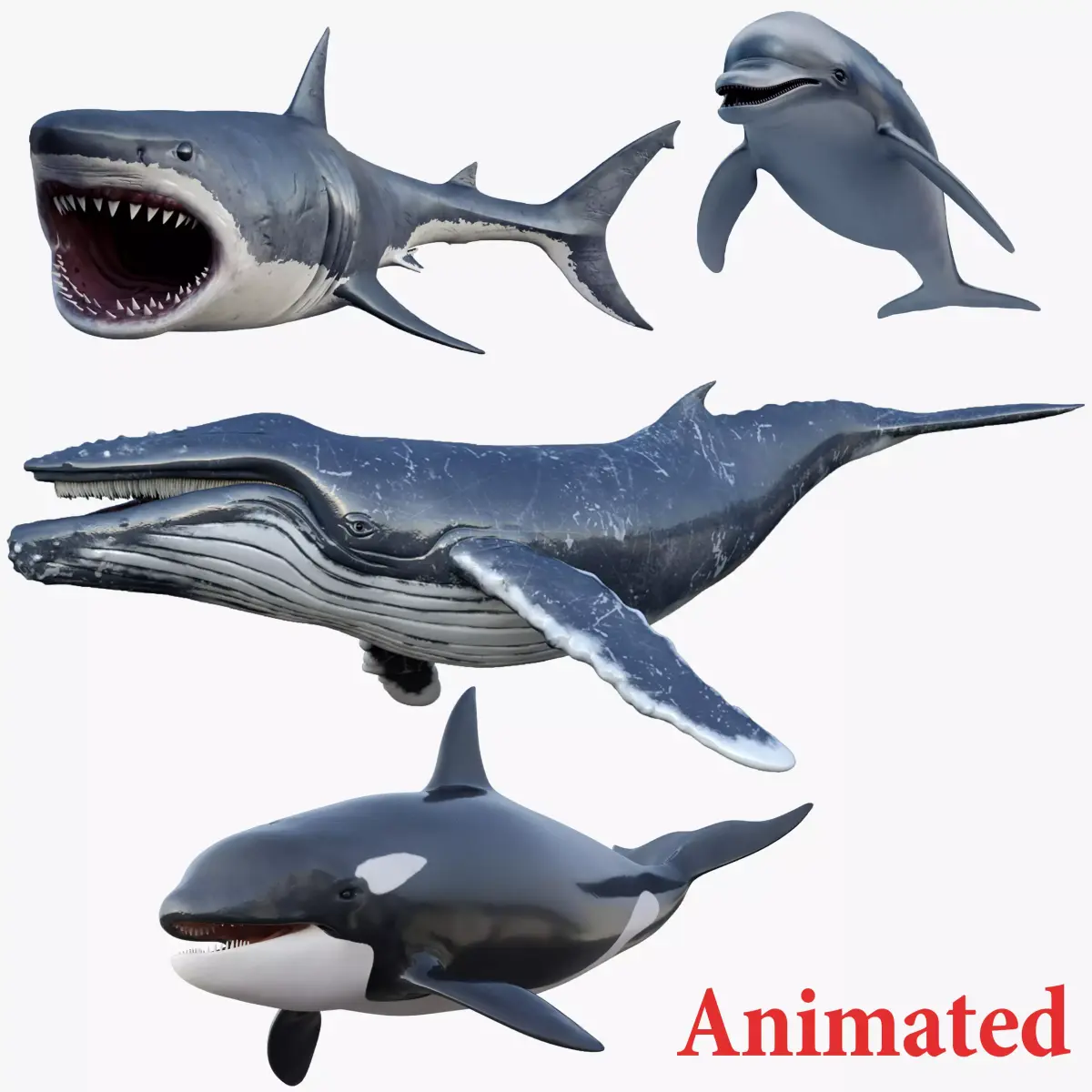  Set of Sea Animals Animated 8K Low-poly 3D model