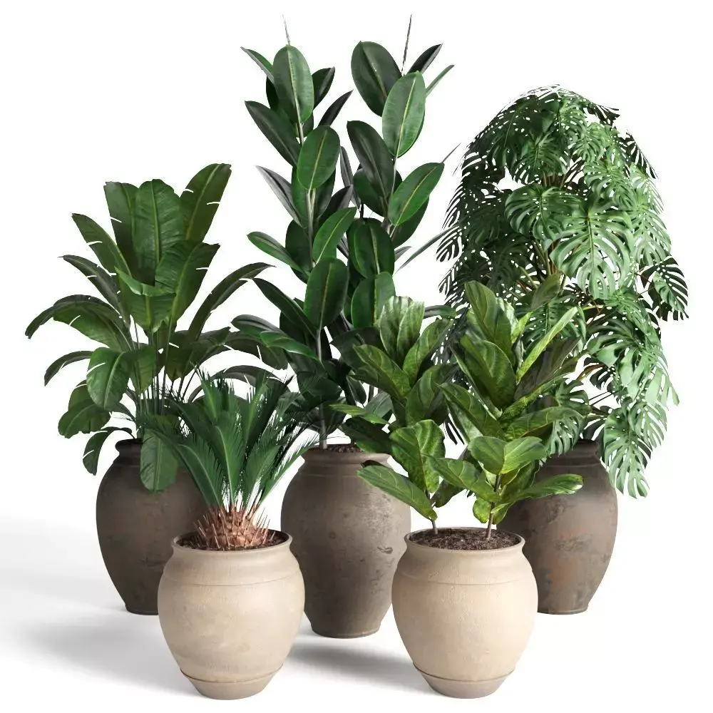 plant collection RPM 02 3D model