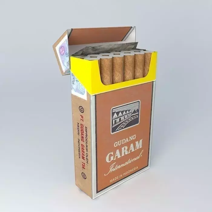 Gudang Garam International Filter Cigarettes 3D model