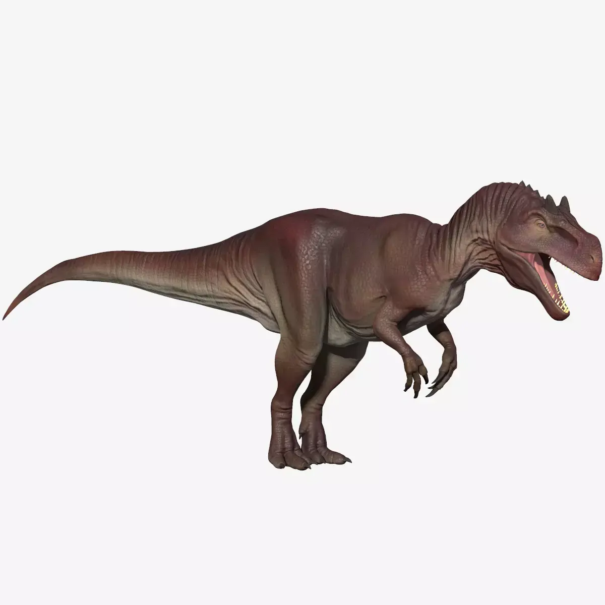 Allosaurus dinosaur Low-poly 3D model purchase