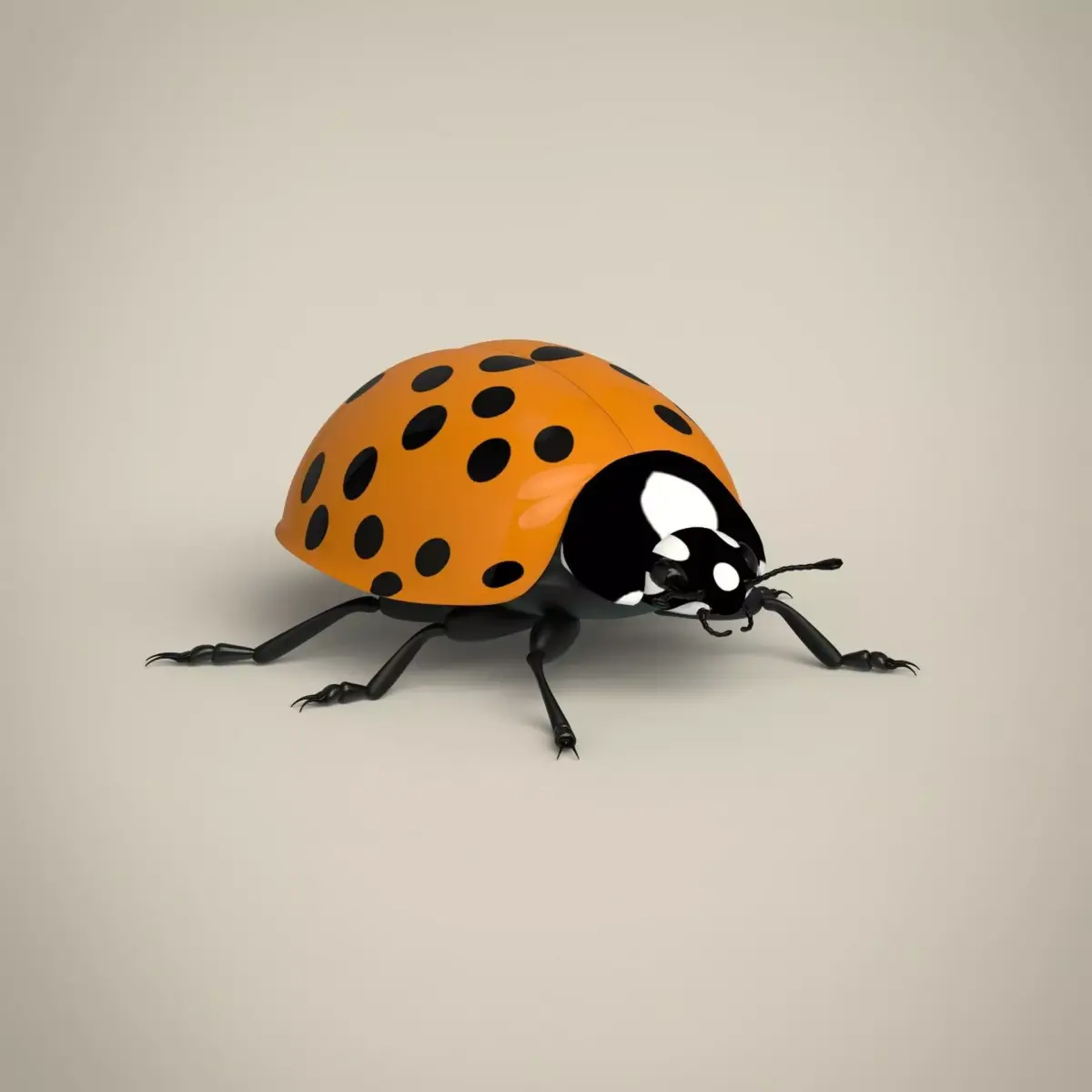 Ladybug Low-poly 3D model purchase