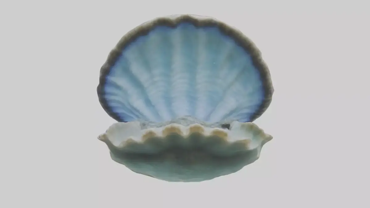 Giant Clam resting on reef model Low-poly 3D model