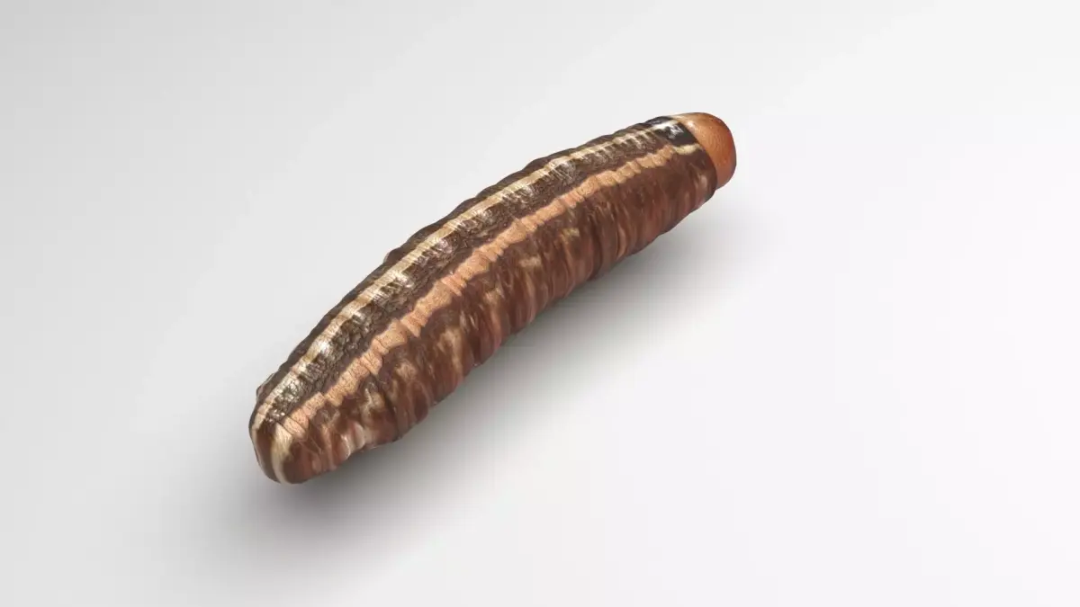 Cutworm 3D model