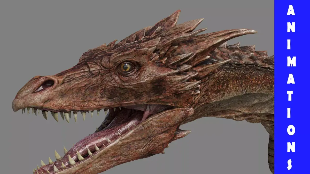 Dragon Animations Low-poly 3D model