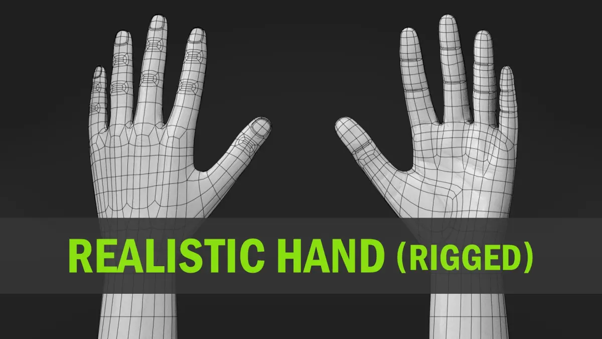 Realistic Hand-Rigged 3D model