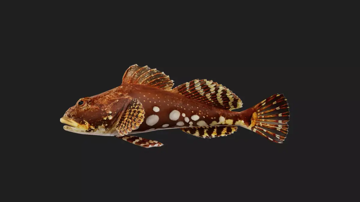 Sculpin Low-poly 3D model purchase