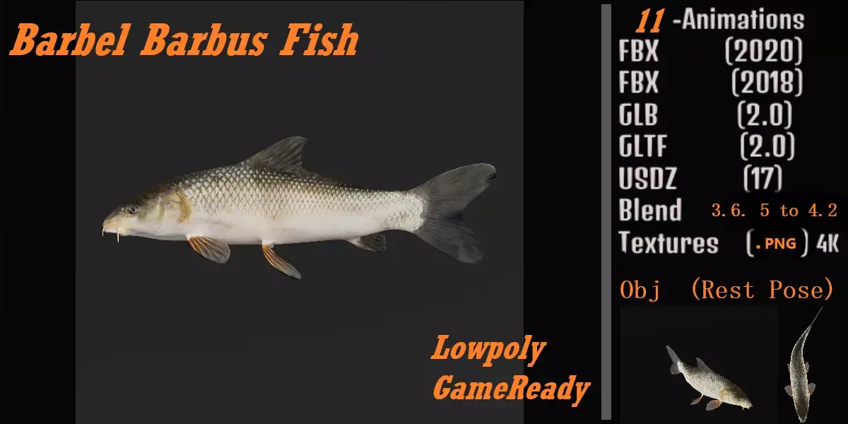 Barbeel Fish Low-poly 3D model
