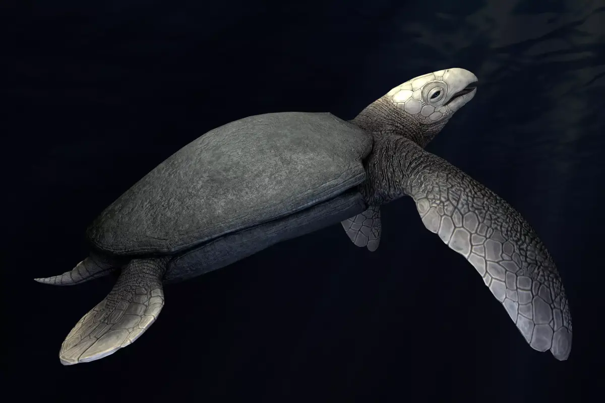 Archelon Asset Pack Low-poly 3D model