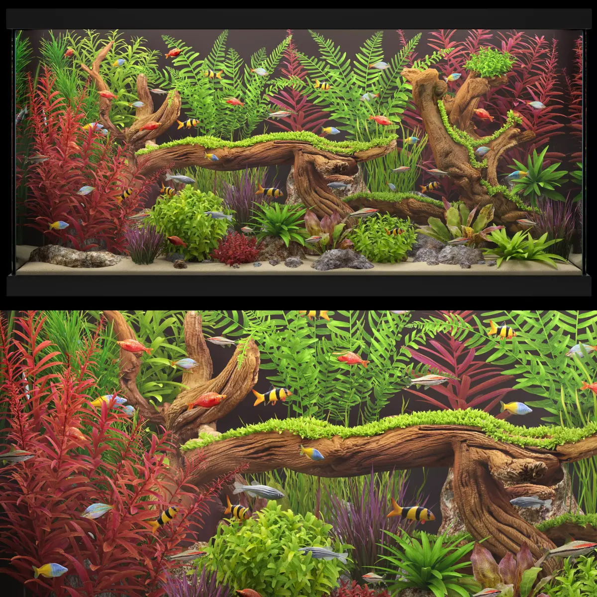 Aquarium 4 3D model