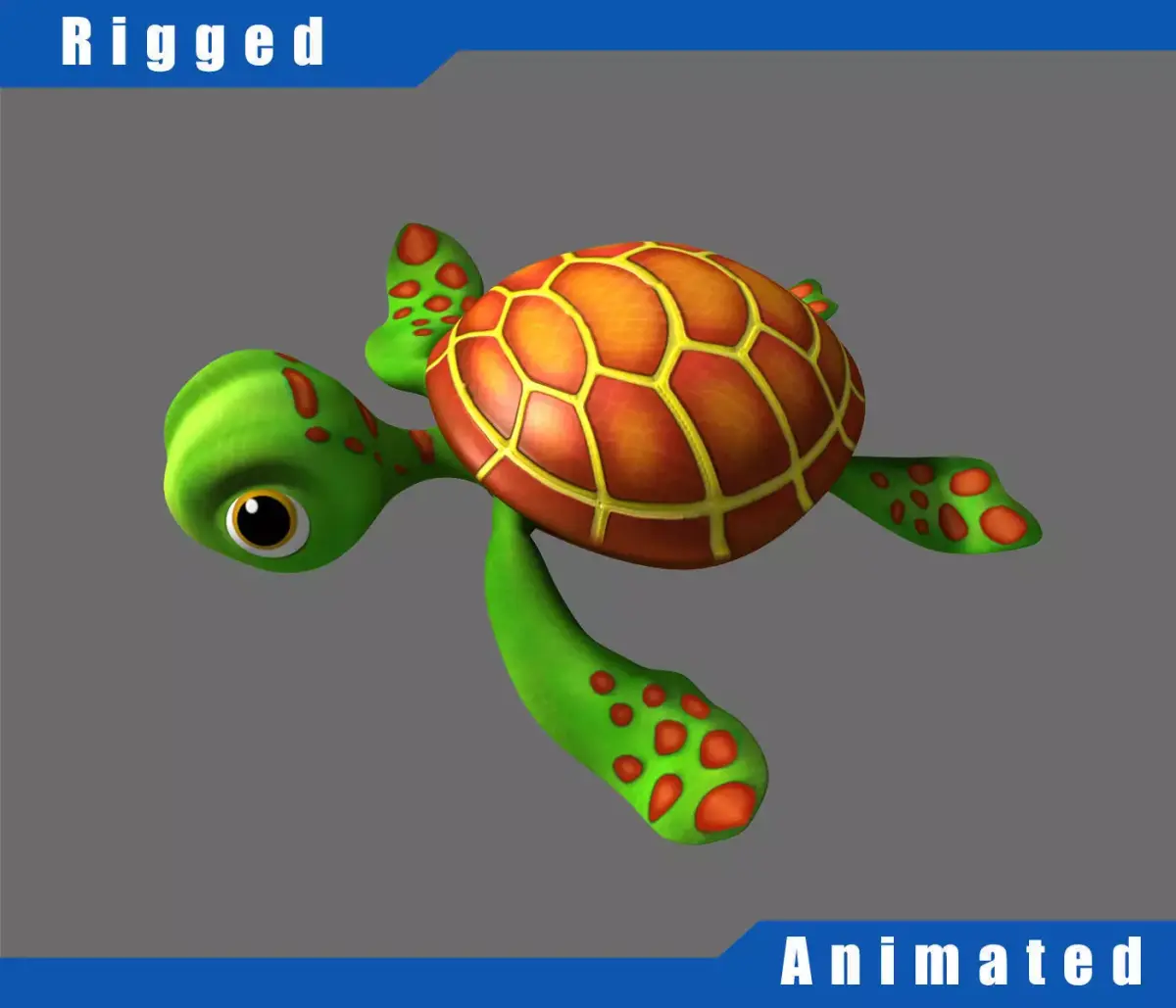 Cartoon Turtle Rigged 3D model