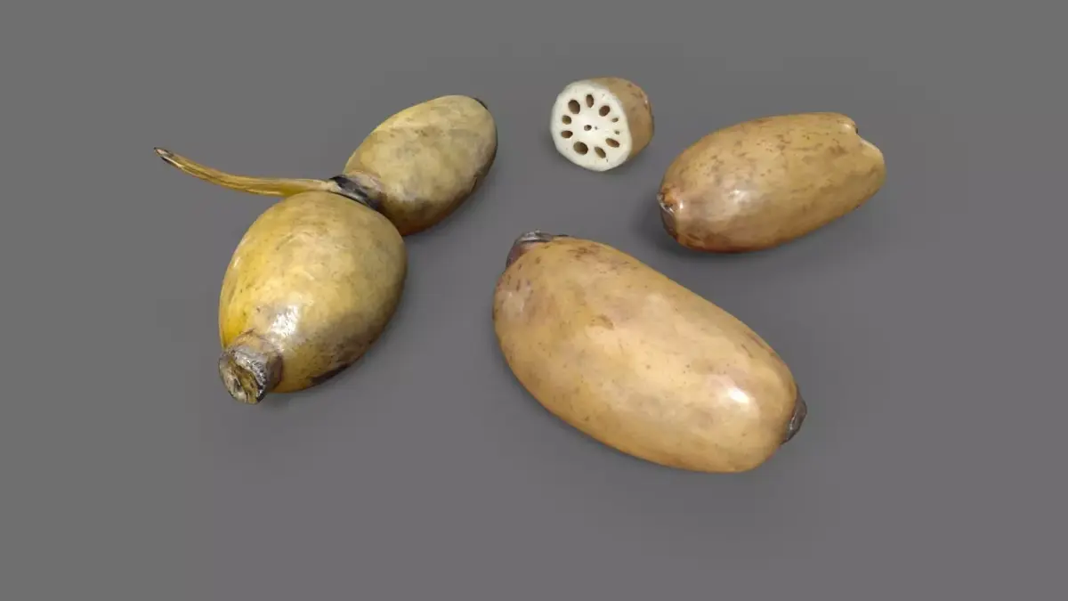 Lotus Root Low-poly 3D model