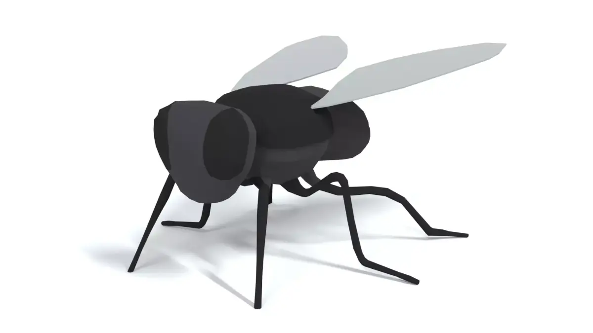 Low Poly Cartoon Fly  Low-poly 3D model
